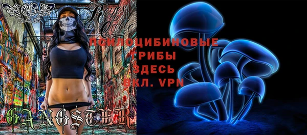 крисы Абинск