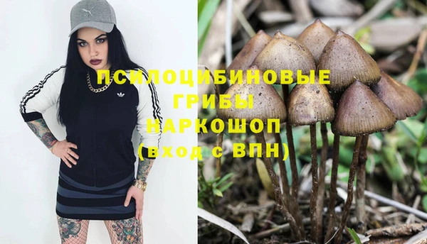 молекула духа Абдулино