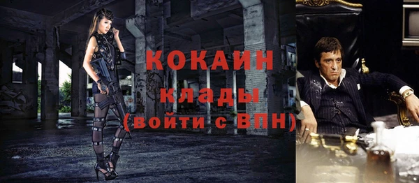 винт Абаза