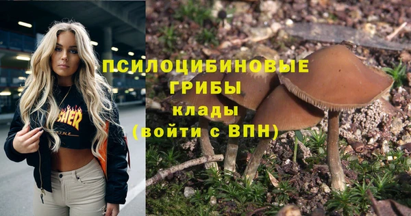 винт Абаза