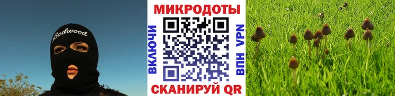 Псилоцибиновые грибы мухоморы Кострома