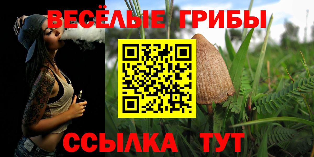 Кострома  Псилоцибиновые грибы GOLDEN TEACHER  Вход с VPN 