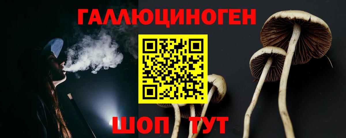 Галлюциногенные грибы прущие грибы Кострома