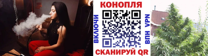 Бошки марихуана THC 21%  кракен онион  Кострома 