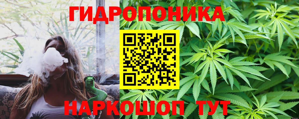 Кострома  Шишки марихуана сатива  Каннабис VHQ  Каннабис планчик  Вход с VPN 